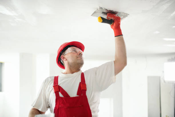 Best Drywall Sanding and Smoothing  in White Pigeon, MI